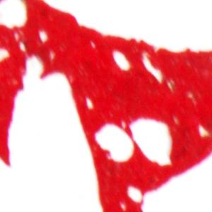 M-N Caron ''Rouge 4''